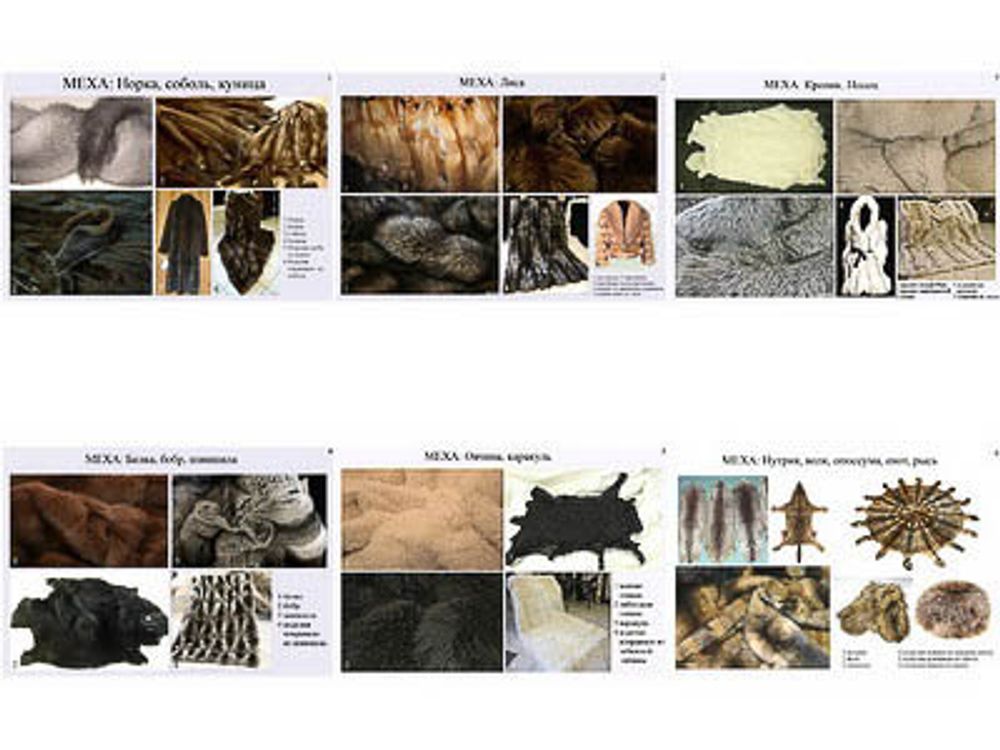 Плакаты ПРОФТЕХ &quot;Ассортимент мехов&quot; (6 пл, винил, 70х100)