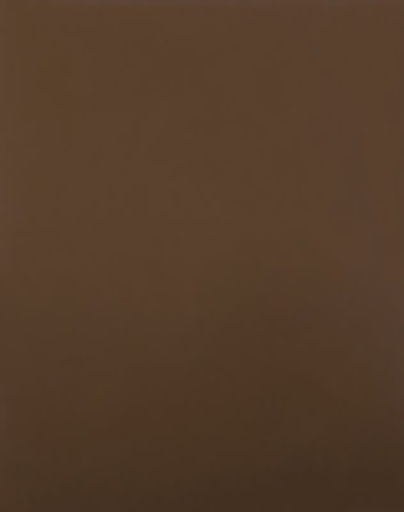 Холст грунтованный  на картоне (умбра натуральная, акриловый грунт) Мастер-Класс, 20х30 см