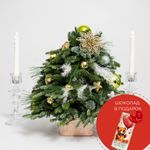 "Зимняя сказка"