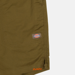 Шорты мужские Dickies Pelican Rapids Short