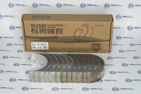 Вкладыши шатунные WP13 1001762093/96