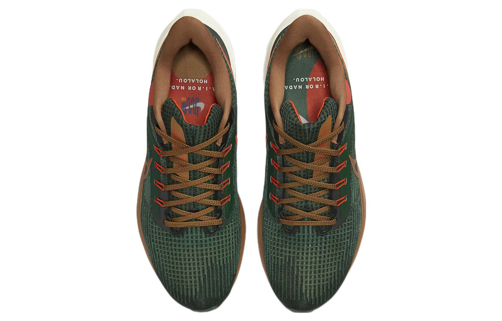 Кроссовки Nike Air Zoom Pegasus 39 "A.I.R. Hola Lou"