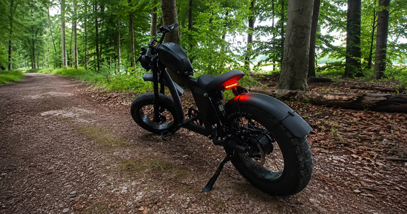 FT Series Ebike