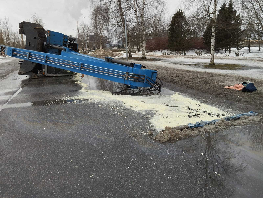 Абсорбент нефти и ГСМ OILSORB 50л.