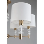 Подвесная люстра Aployt FRANULA APL.724.03.06