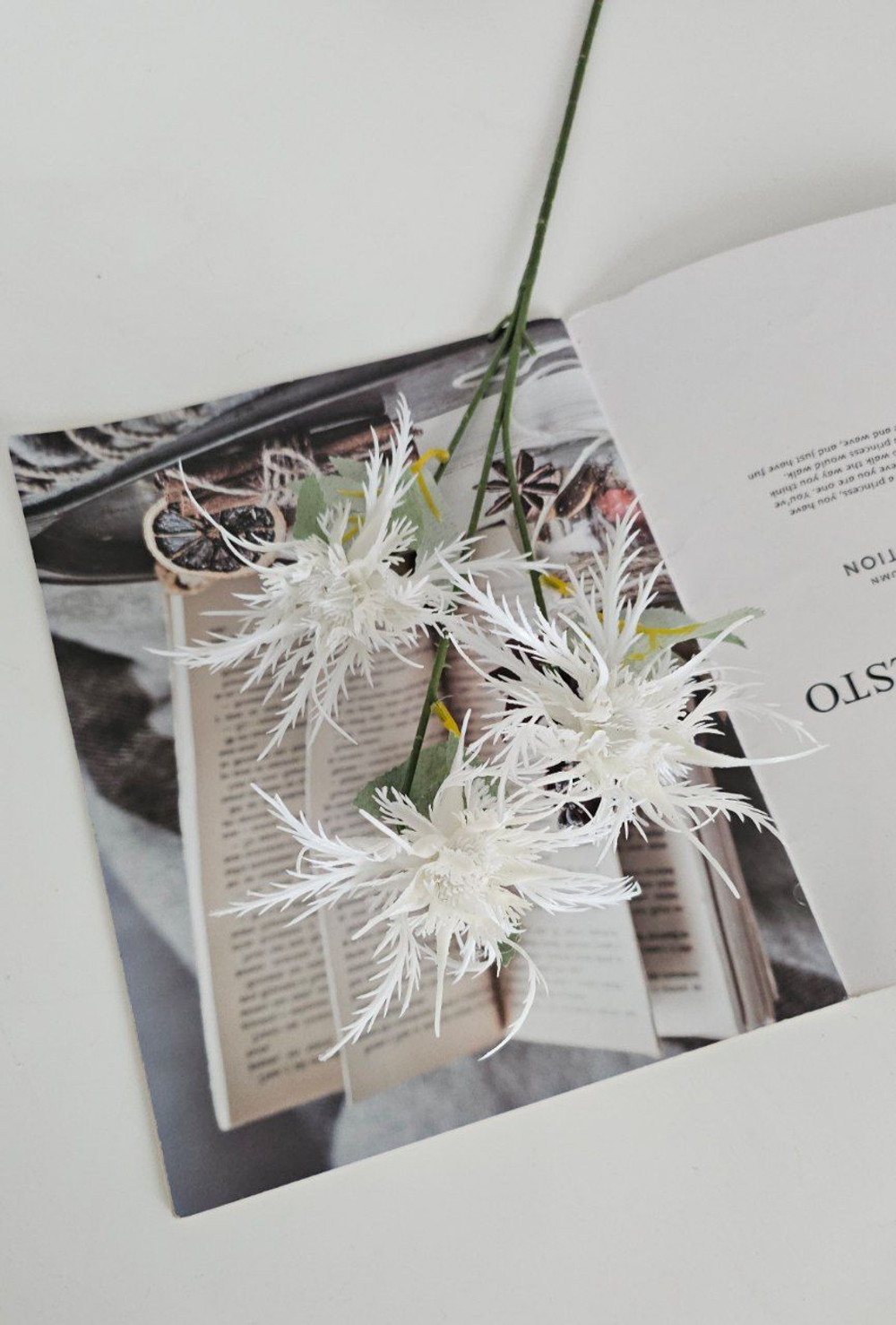 Гвоздика песчаная / Арт 2389