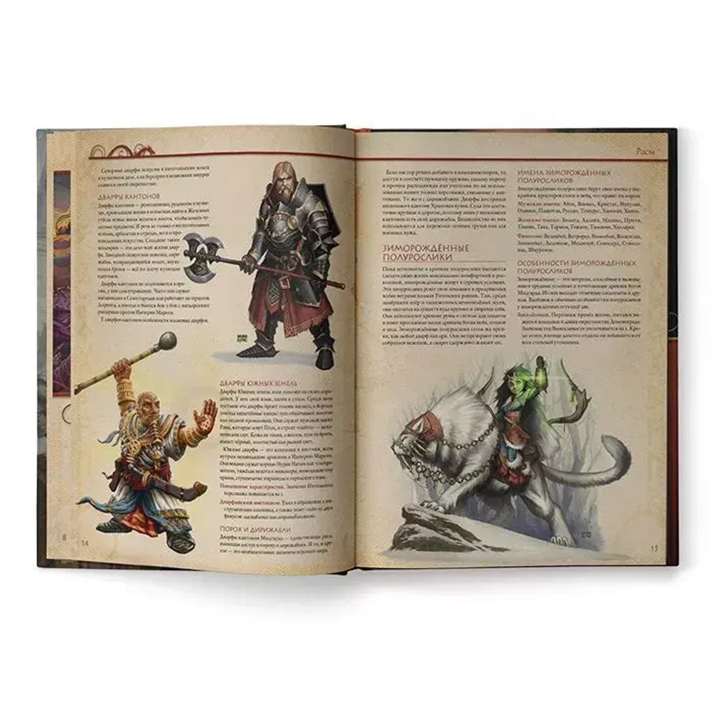 Midgard. Книга героев