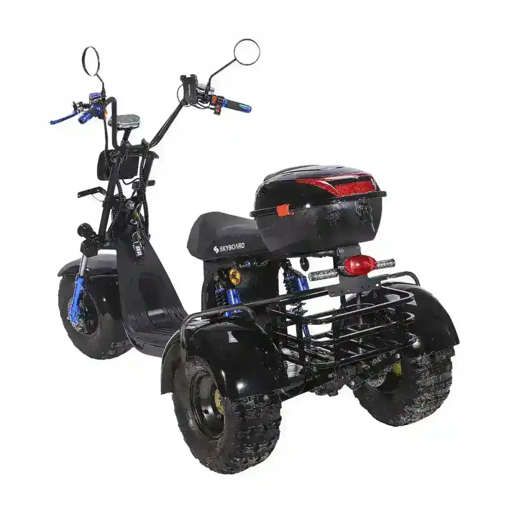 Электроскутер SKYBOARD CITYCOCO TRIKE BR40-3000 PRO FAST OFF-ROAD