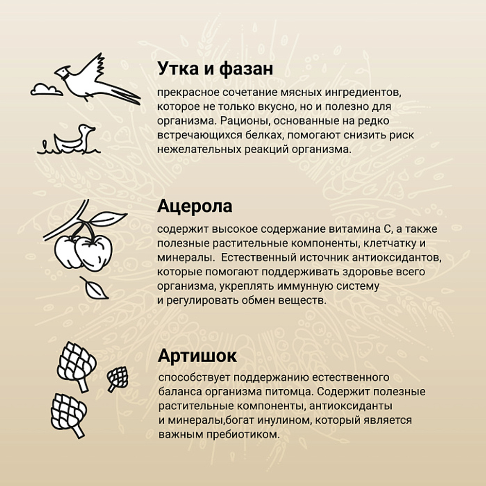 Сухой корм CRAFTIA NATURA для взрослых собак миниатюрных и мелких пород из утки с фазаном 640 г