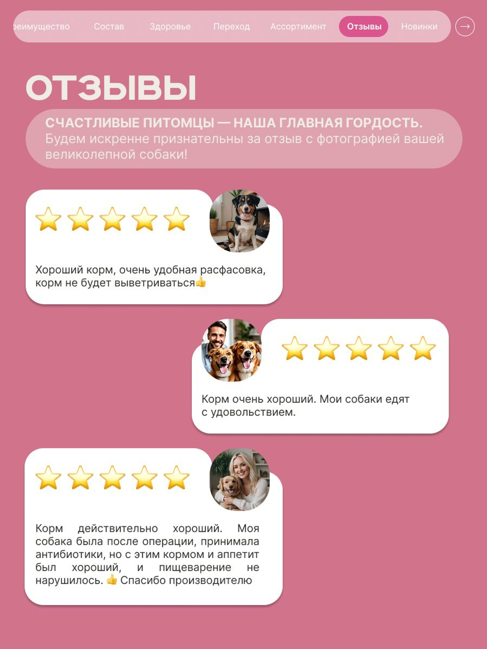 Корм сухой для взрослых собак породы Той-терьер, с говядиной, 800 гр, QUATTRO