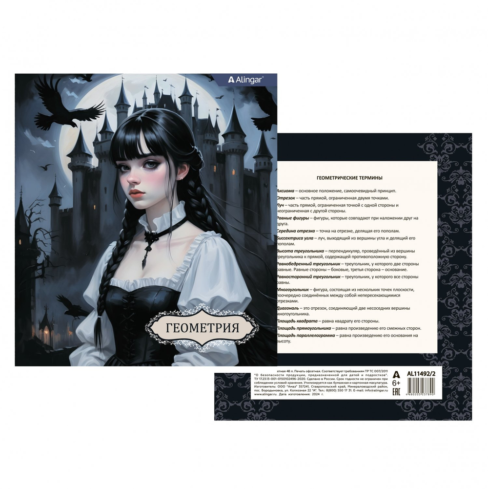 Комплект предметных тетрадей А5 48л., 10 предметов, со справ матер, скрепка, мелов. картон (стандарт), блок офсет, Alingar "Mystical wednesday"