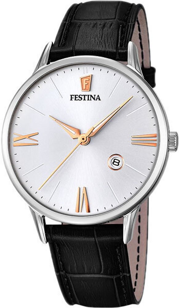 Мужские наручные часы Festina F16824/2