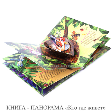 КНИГА - ПАНОРАМА «Кто где живет»