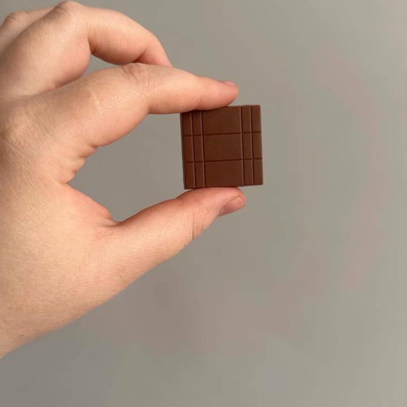 209 | Форма для шоколадных изделий (275*175 мм)