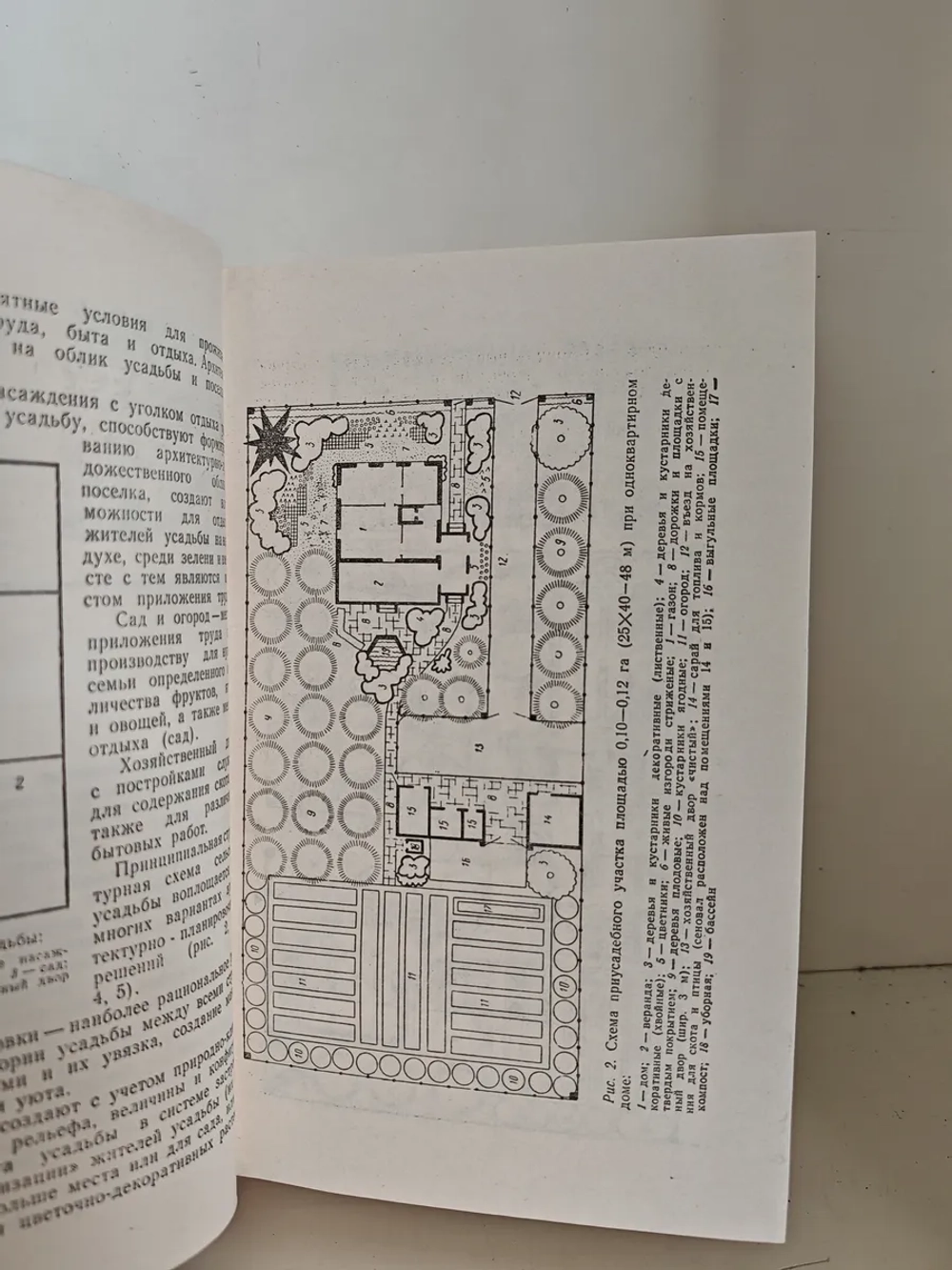 Приусадебное хозяйство