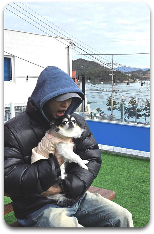 Карта / STRAY KIDS #2804