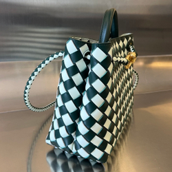 Bottega Veneta Small Andiamo 25 cm