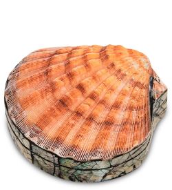 Decor and Gift 54-043 Декоративная шкатулка «Ракушка»