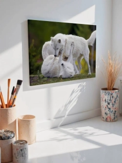 Картина на стену 40 X 50 Волки