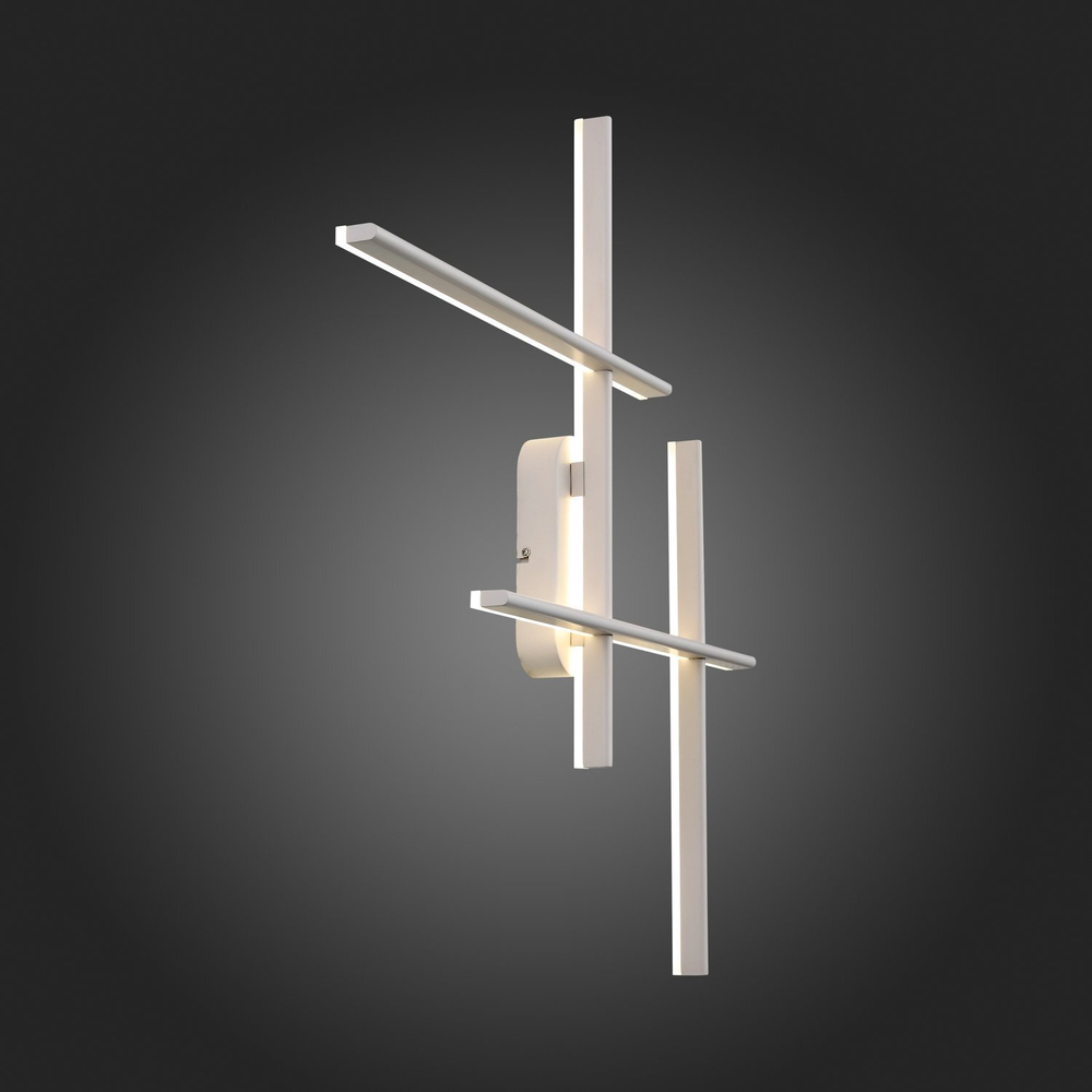 Светильник настенный ST Luce Basoni SL394.501.04