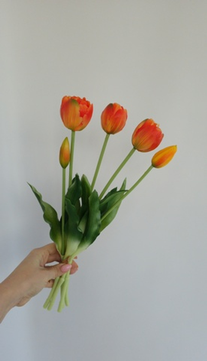 Тюльпаны пионовидные / Арт 2415