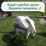 Домик для кошки Вальди из массива сосны