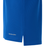 Поло DIVISION PerFormDRY Polo, синий