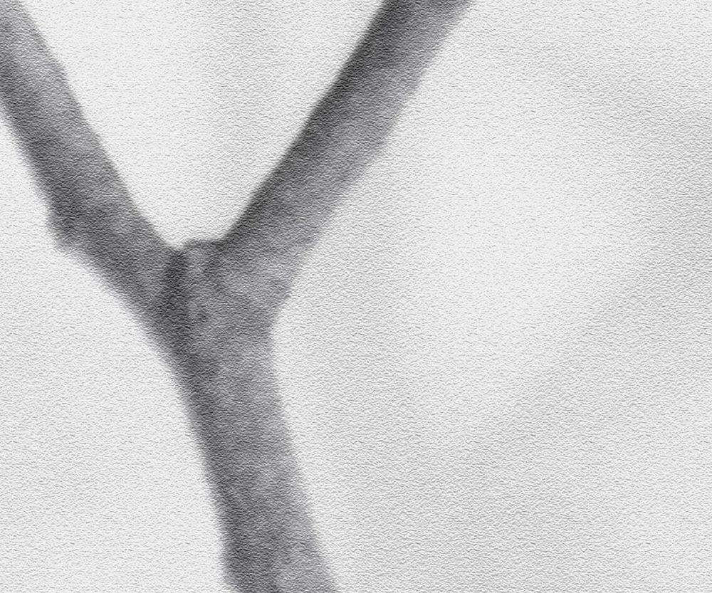 Бесшовная фреска 25339, 2,7 м (Ширина 4 м)