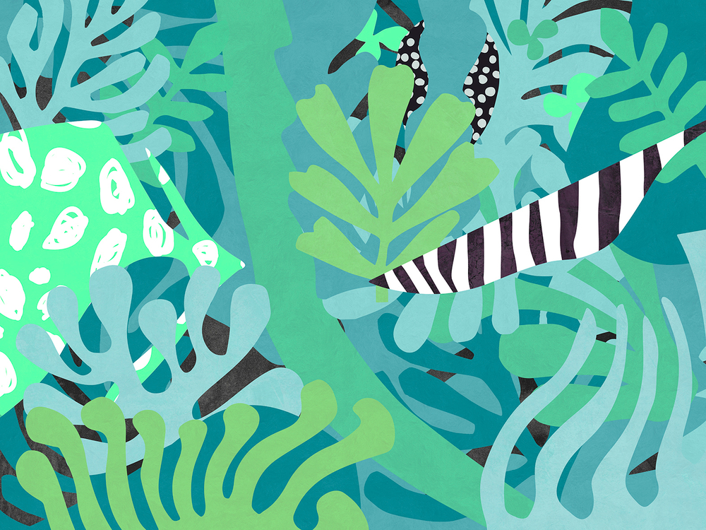 Коллекция MATISSE