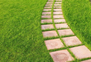 Дорожки – артерии участка