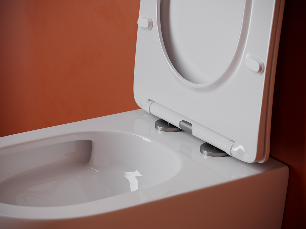 Подвесной унитаз CERAMICANOVA Uno смыв Торнадо 490x360x360 белый