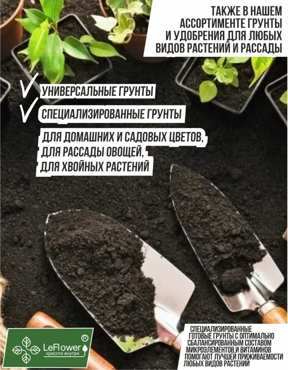 Тюльпан Луковицы неочищенные, Микс сортов, 200шт+