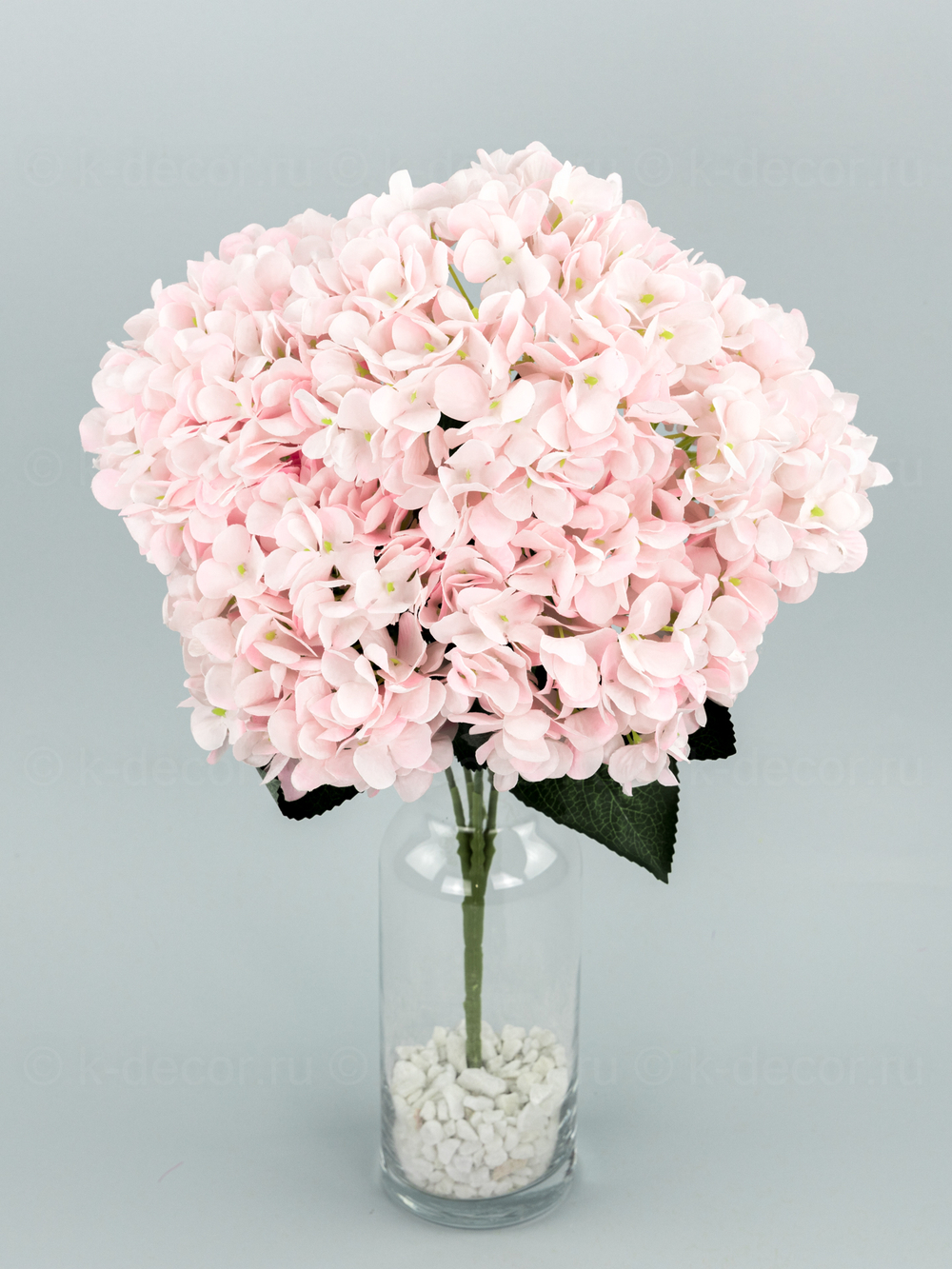 Букет гортензия Садовая