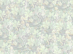 Коллекция FAIRY FOXES