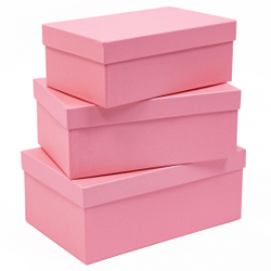 Коробка ПРЯМОУГОЛЬНАЯ 23,5*15*9,2