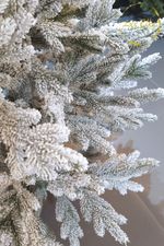 Ель Заснеженная «Нордман» (Литая хвоя) 210 см / 2.1 м