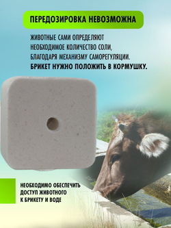 Соль для животных лизунец Лимисол