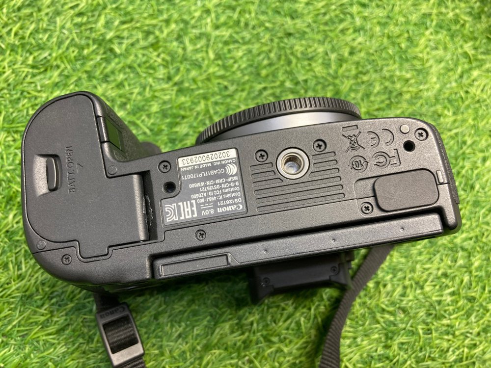 Canon EOS R (6.000 кадров)