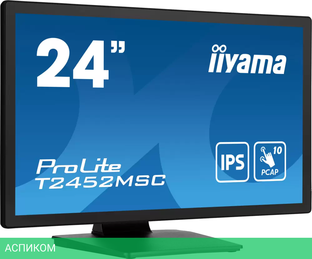 Монитор Iiyama ProLite T2452MSC-B1