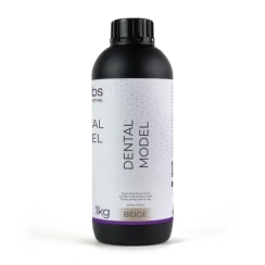 HARZ Labs Dental Model Beige