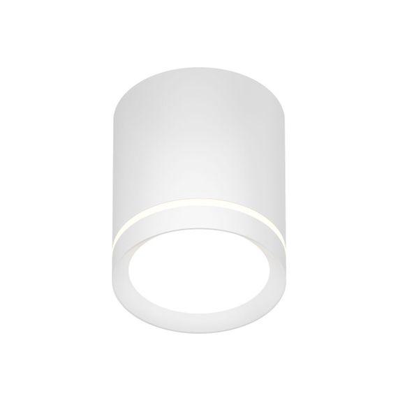 Накладной светодиодный светильник Denkirs DK4013-WH