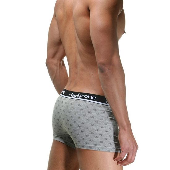 Трусы мужские боксеры серые DARKZONE DZN2309