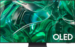 Телевизор Samsung QE55S95CAUXRU