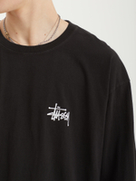 Мужской Лонгслив Basic Stussy Pig. Dyed
