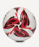 Мяч футбольный Triumph Pro №5