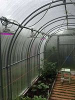 Фитолампа полного спектра, освещение растений в теплице