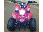 Электроквадроцикл Green Camel Гоби K50 (36V 800W R7 Цепной привод)
