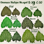 Молд Набор листья универсальные Б-39 и С-50