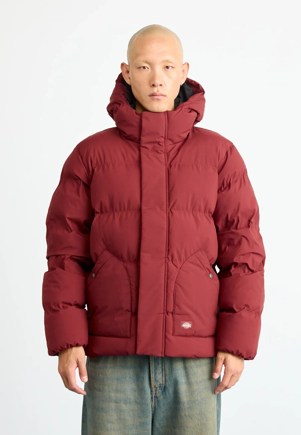 Пуховик Dickies EAGLEVILLE