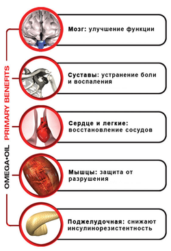 Omega 3-6-9 (MegaProtein)